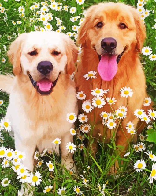 Golden Retriever With Daisies Paint By Number