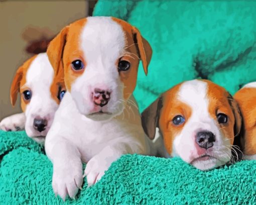 Jack Russell Terrier Puppies Paint By Number