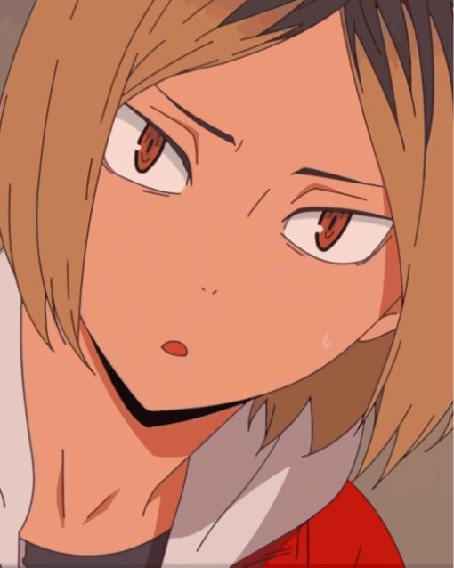 Kenma Kozume Haikyuu Character Paint By Number