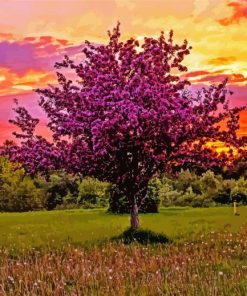 Lilac Tree Sunset Landscape Paint By Number