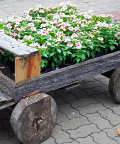 Pink Flower Cart Paint By Number