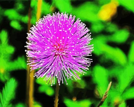 Purple Dandylion Paint By Number