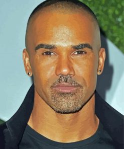 Shemar Moore Actor Paint By Number