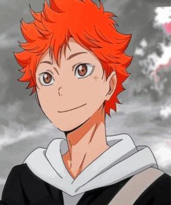 Shôyô Hinata Haikyuu Anime Character Paint By Number