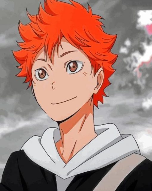 Shôyô Hinata Haikyuu Anime Character Paint By Number