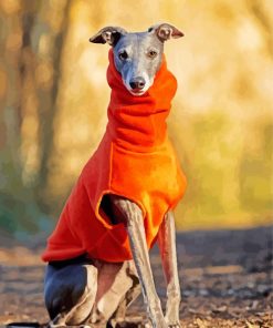 Stylish Whippet Paint By Number