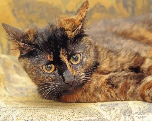 Tortoiseshell Cat Pet Paint By Number