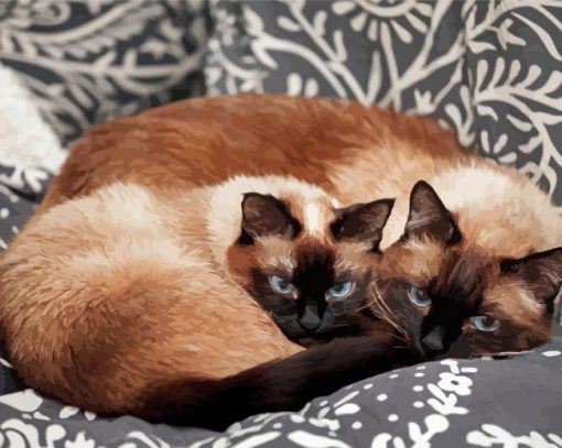 Two Siamese Kitties Paint By Number