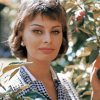 Actress Sophia Loren Paint By Number