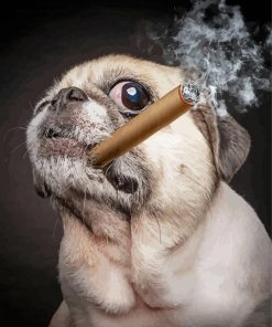 Aesthetic Pug With A Cigar Paint By Number