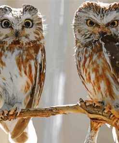 Aesthetic Owl Couple Birds Paint By Number