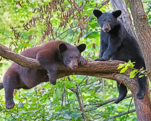 Black Bears Tree Climbers Paint By Number