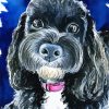 Black Cavoodle Art Paint By Number