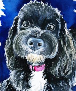 Black Cavoodle Art Paint By Number