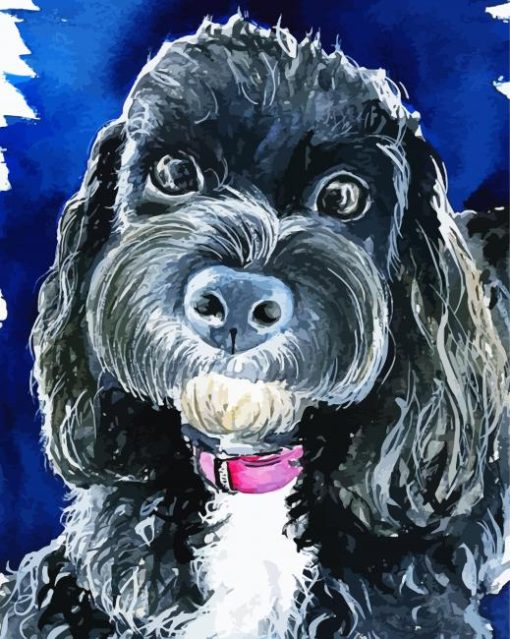 Black Cavoodle Art Paint By Number