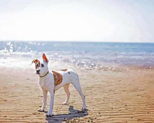 Bull Arab On Beach Paint By Number