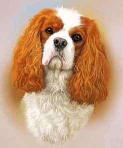 Cavalier King Charles Spaniel Head Paint By Number