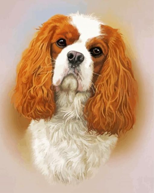 Cavalier King Charles Spaniel Head Paint By Number