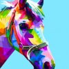 Colorful Horse Head Abstract Paint By Number