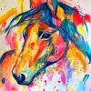 Colorful Horse Head Paint By Number