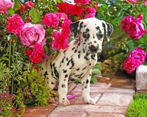 Dalmatian Puppy Flowers Sit Wallpaper Paint By Number