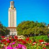 Flowering Garden Of University Of Texas Paint By Number