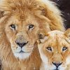 Lion And Lioness Animal Paint By Number