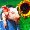 Pig And Sunflower Paint By Number