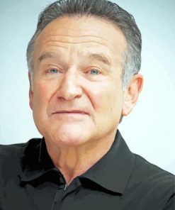 The American Actor Robin Williams Paint By Number