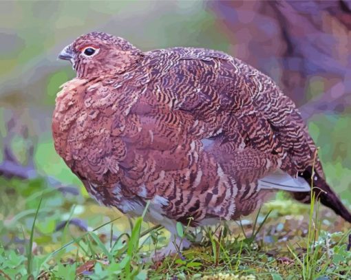 Willow Ptarmigan Bird Paint By Number