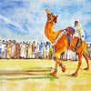 Arabian Camel Dancing paint by numbers