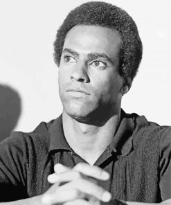 Black And White Huey Newton paint by numbers