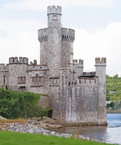 Blackrock Castle paint by numbers