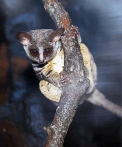 Bushbaby On Branch Paint By Numbers