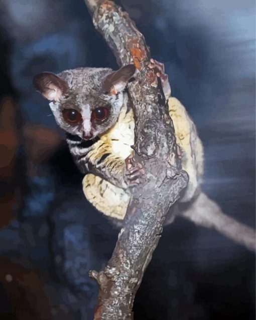 Bushbaby On Branch Paint By Numbers