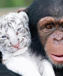 White Tiger And Monkey paint by numbers