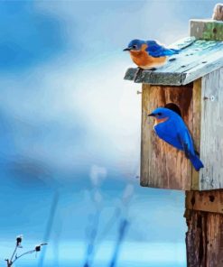 House And Blue Birds On A Fence paint by number