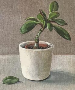 Jade Plant Art paint by numbers