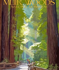 Muir Woods National Monument paint by numbers