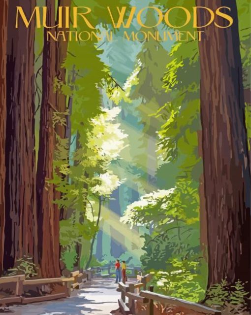 Muir Woods National Monument paint by numbers