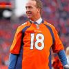 Peyton Manning Footballer paint by numbers