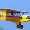 Piper Cub paint by numbers