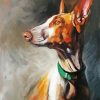 Podenco Dog Art paint by numbers