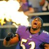 Ray Lewis Player paint by numbers