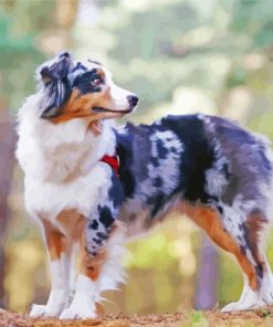 Aesthetic Australian Shepherd paint by numbers