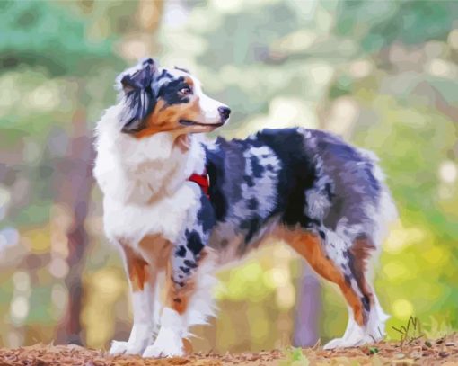 Aesthetic Australian Shepherd paint by numbers