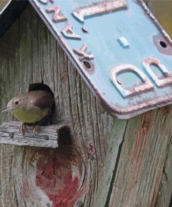 Birds With Bird Houses paint by numbers