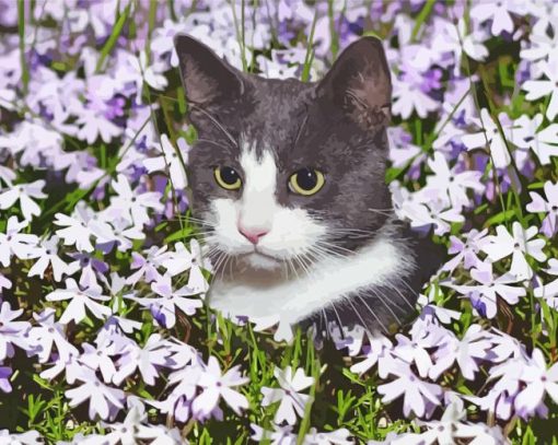 Aesthetic Tuxedo Cat Flowers paint by numbers