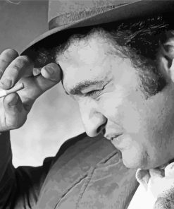 Comedian John Belushi paint by numbers