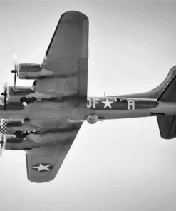 Black And White Sally B paint by numbers